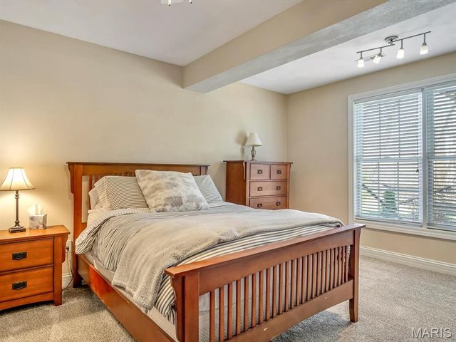 9 Timber Bluff Court, Glen Carbon, IL 62034