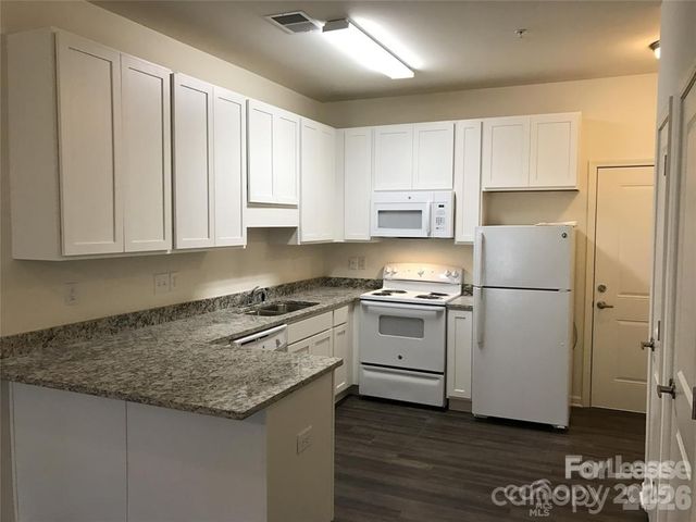 17905 Delmas Drive 203, Cornelius, NC 28031