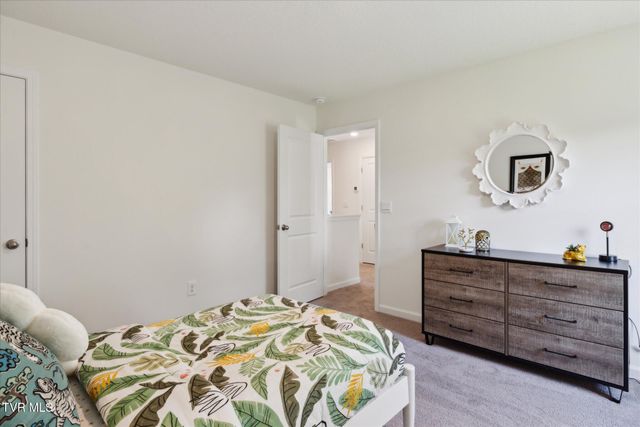 111 Mint Court, Bluff City, TN 37618