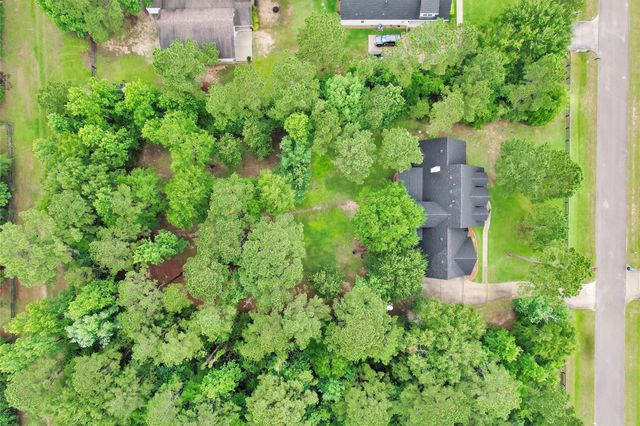11232 Triple Crown Way, Conroe, TX 77304