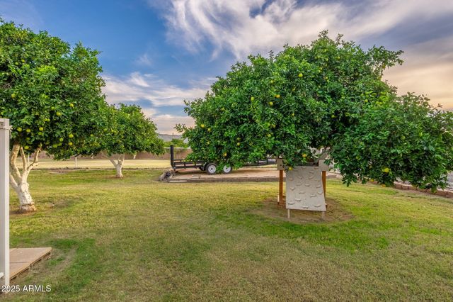 20505 E ORCHARD Lane, Queen Creek, AZ 85142