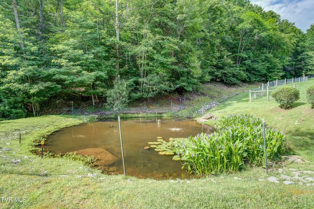 275 Heaton Creek Road, Roan Mountain, TN 37687