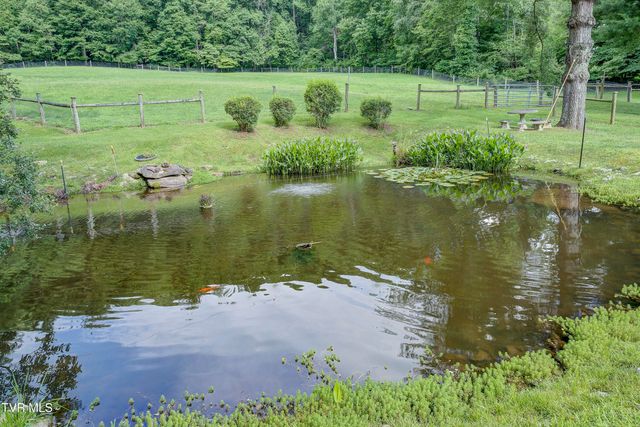 275 Heaton Creek Road, Roan Mountain, TN 37687