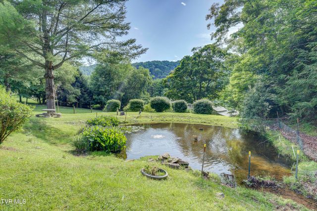 275 Heaton Creek Road, Roan Mountain, TN 37687