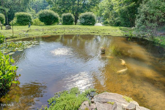 275 Heaton Creek Road, Roan Mountain, TN 37687