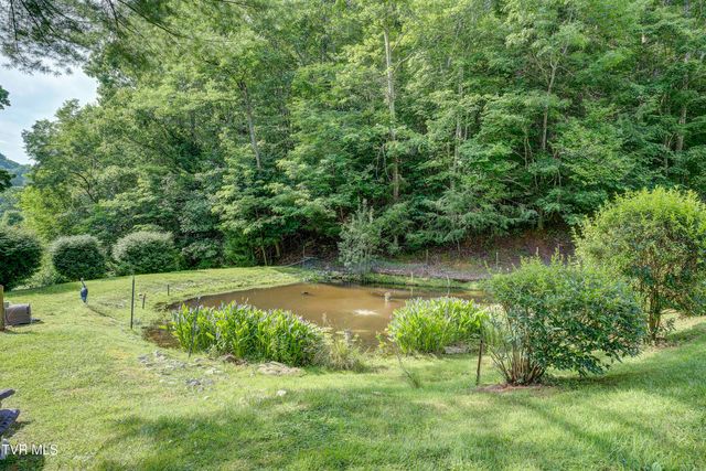 275 Heaton Creek Road, Roan Mountain, TN 37687