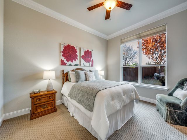 1048 Kenilworth Street, Allen, TX 75013