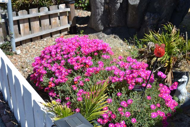 1358 MANUEL DRIVE 146, Hayward, CA 94544