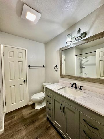 1253 E Louise Ave, Manteca, CA 95336