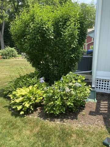 13 Shawmut Ave Ext., Wayland, MA 01778