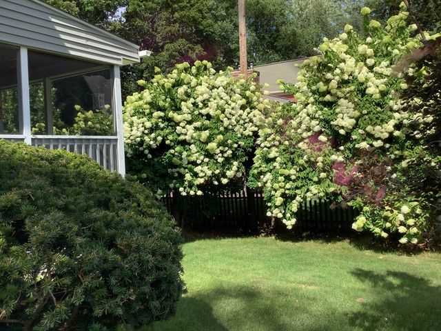 13 Shawmut Ave Ext., Wayland, MA 01778