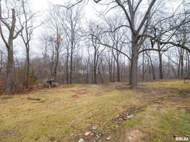 717 W BROW Court, Peoria, IL 61615