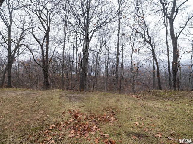 717 W BROW Court, Peoria, IL 61615