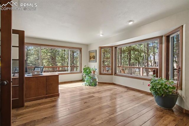 230 Blue Garter Way, Monument, CO 80132