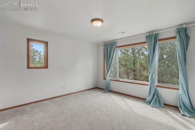 230 Blue Garter Way, Monument, CO 80132