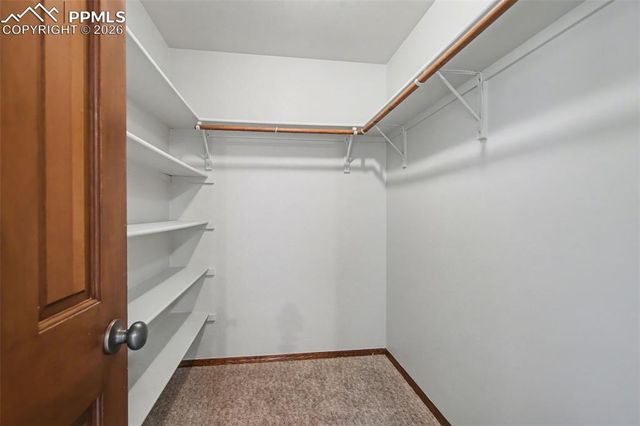 230 Blue Garter Way, Monument, CO 80132