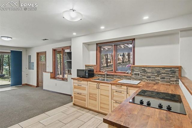 230 Blue Garter Way, Monument, CO 80132