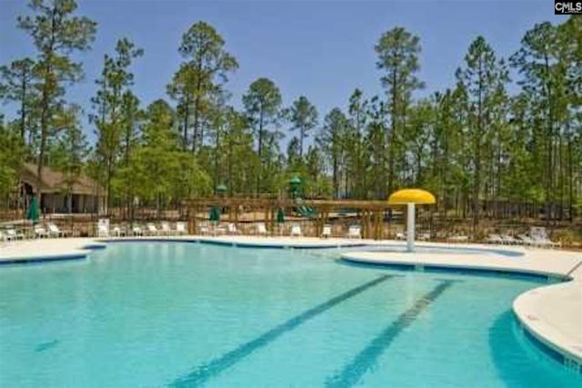 526 Long Pointe Lane, Columbia, SC 29229