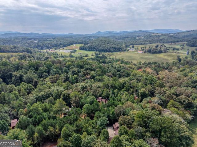 193 Windy Valley Trail, Blue Ridge, GA 30513