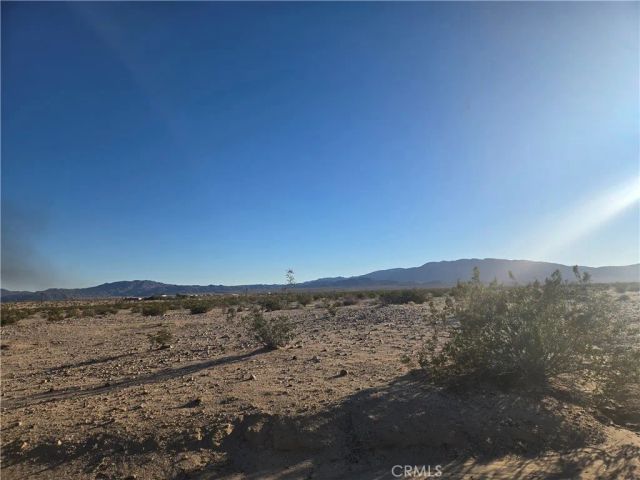 1234 Amboy, 29 Palms, CA 92277