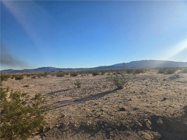 1234 Amboy, 29 Palms, CA 92277