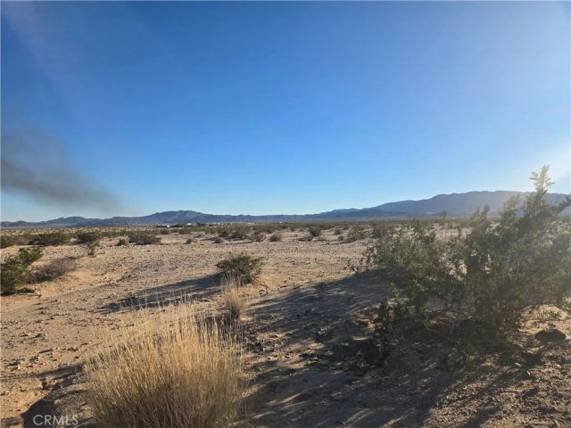 1234 Amboy, 29 Palms, CA 92277