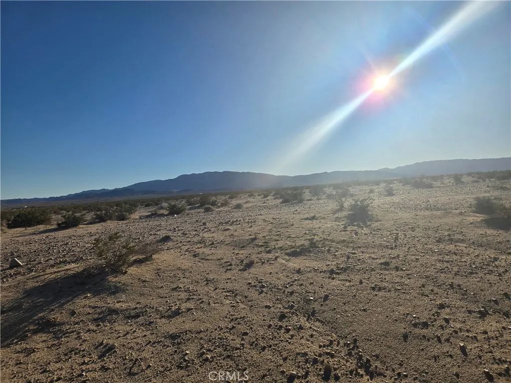 1234 Amboy, 29 Palms, CA 92277