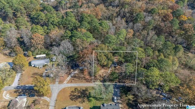 257 FLINT AVENUE, Gardendale, AL 35071