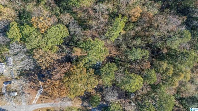 257 FLINT AVENUE, Gardendale, AL 35071