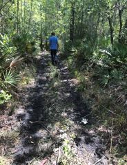 2449 OLD TRAIN ROAD, Deltona, FL 32738