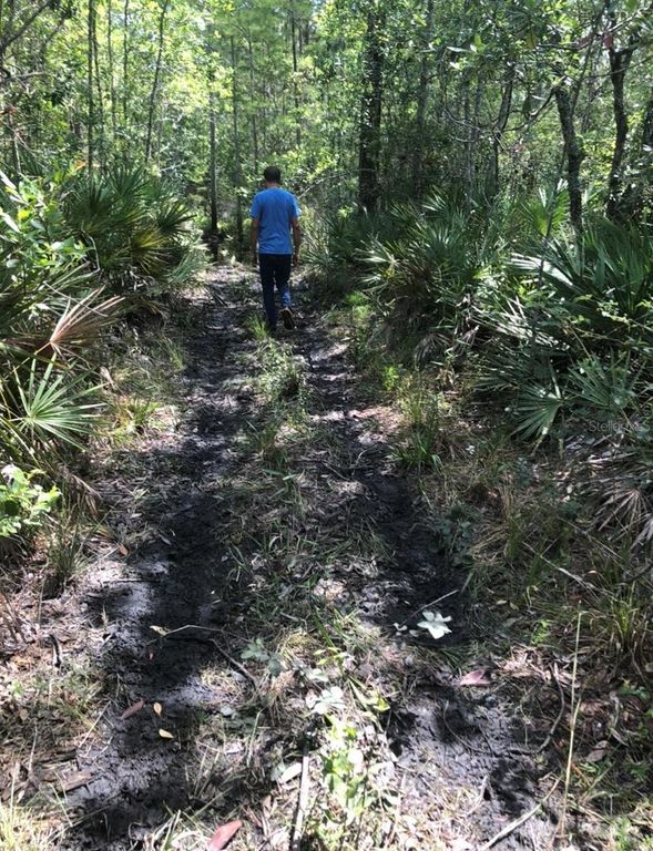 2449 OLD TRAIN ROAD, Deltona, FL 32738