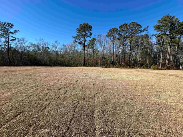 450 Castillo Dr., Loris, SC 29569