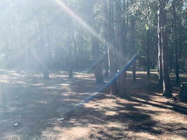 284 County Road 3405, Cleveland, TX 77327