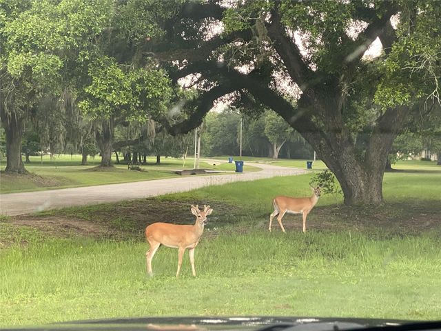 1325 Palomino Trail, Angleton, TX 77515