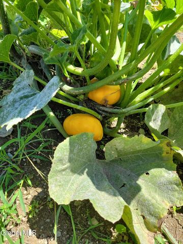 74 Bayer Road, Hoosick Falls, NY 12090