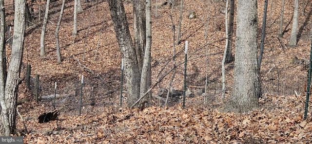 1079 GUN CLUB RD, Stephenson, VA 22656