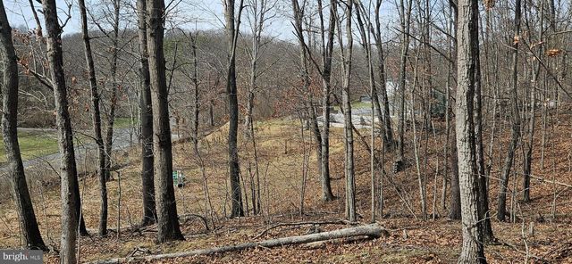 1079 GUN CLUB RD, Stephenson, VA 22656