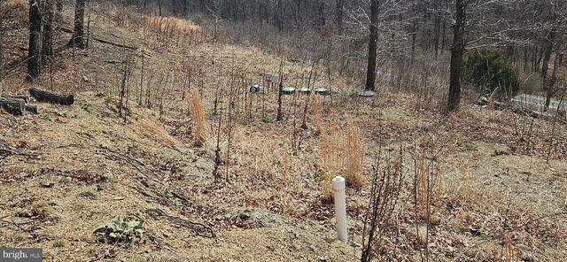 1079 GUN CLUB RD, Stephenson, VA 22656