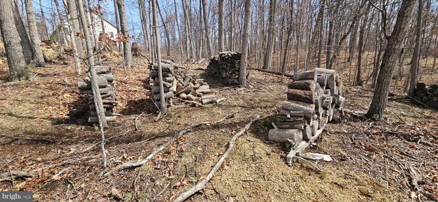 1079 GUN CLUB RD, Stephenson, VA 22656