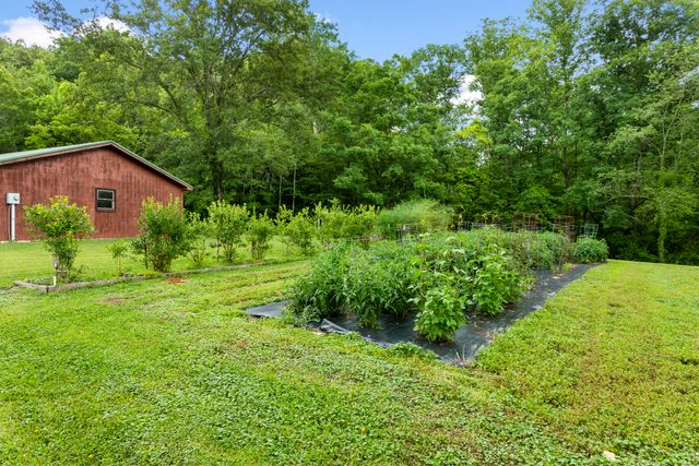 3950 Clearfork Road, Morehead, KY 40351