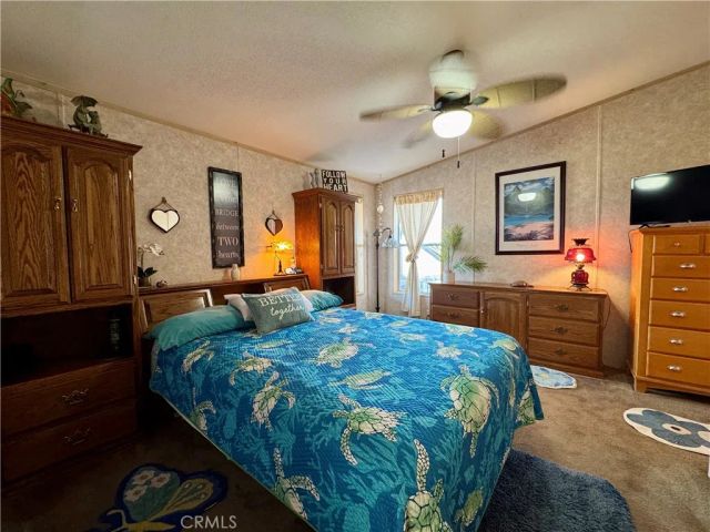 3770 Turtle Beach, Needles, CA 92363