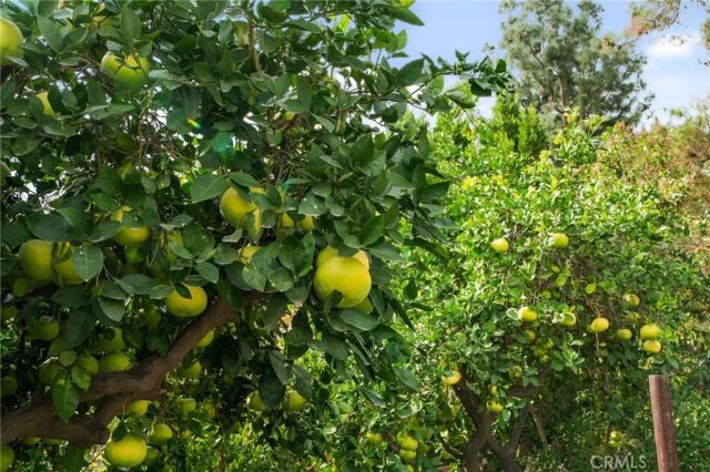 416 Alamosa Drive, Claremont, CA 91711