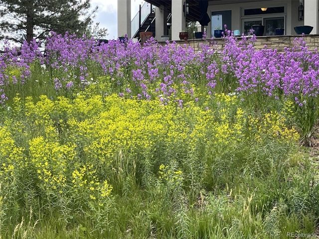 5213 Pinyon Jay Rd, Parker, CO 80134