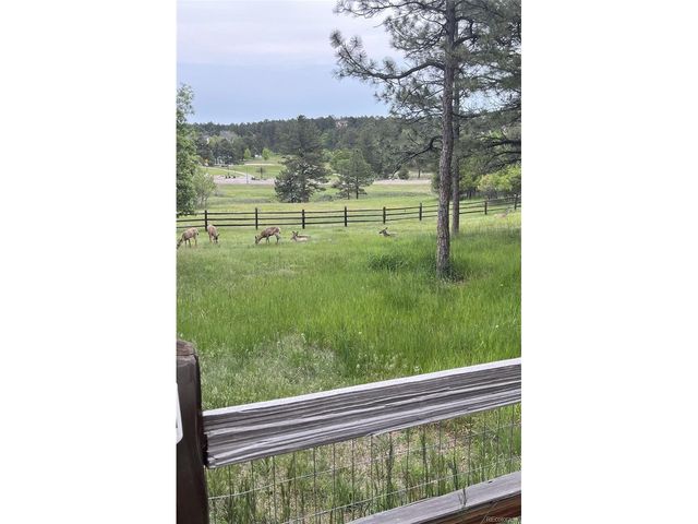 5213 Pinyon Jay Rd, Parker, CO 80134