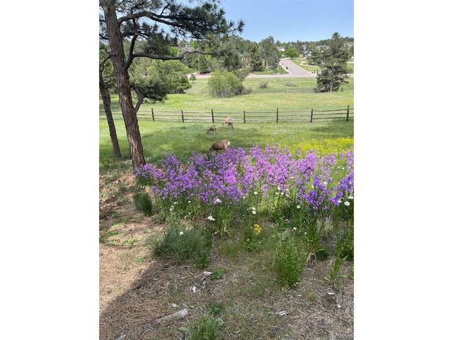 5213 Pinyon Jay Rd, Parker, CO 80134