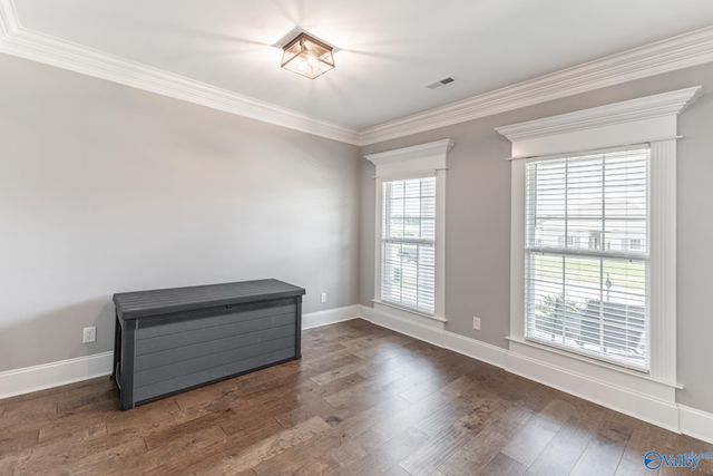 113 Callen Drive, Madison, AL 35756