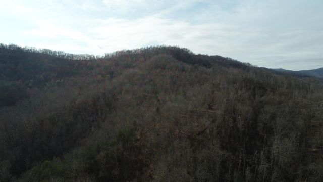 554 sukey hollow Road, Williamsburg, KY 40769