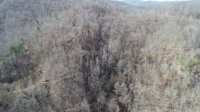 554 sukey hollow Road, Williamsburg, KY 40769