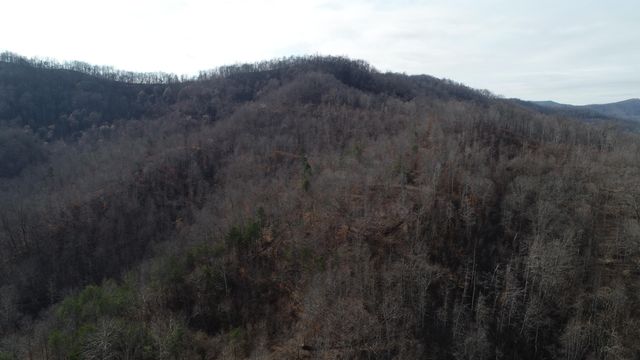 554 sukey hollow Road, Williamsburg, KY 40769