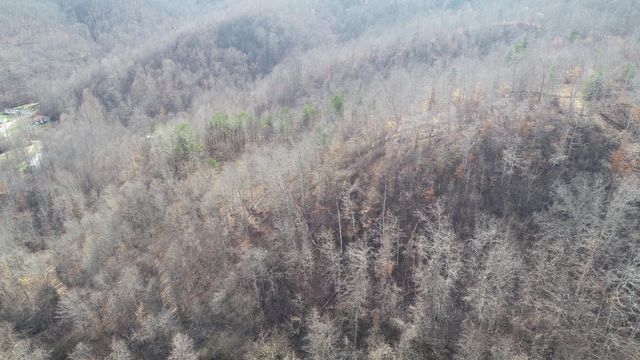 554 sukey hollow Road, Williamsburg, KY 40769